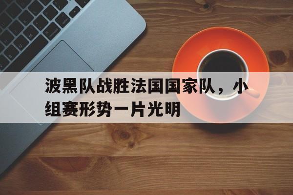 包含波黑队战胜法国国家队，小组赛形势一片光明的词条